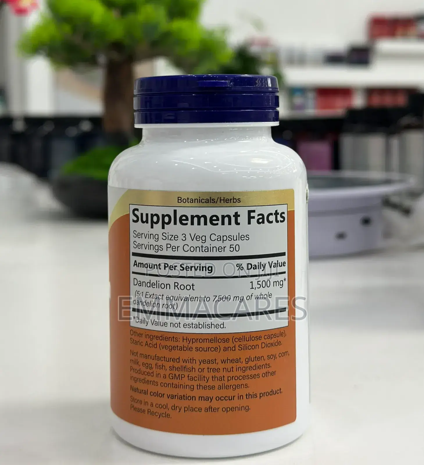 Dandelion Root Capsules