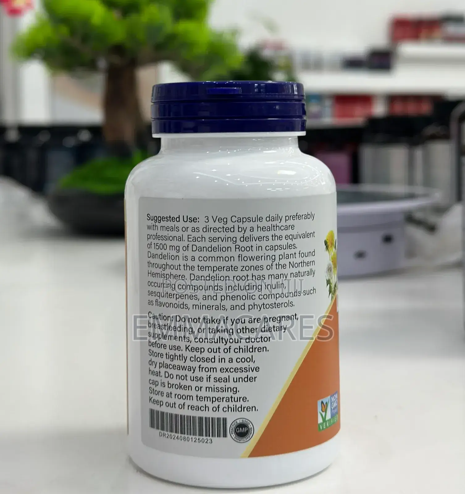 Dandelion Root Capsules