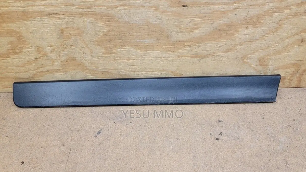Nissan Rogue 2016-2018 Door Moulding
