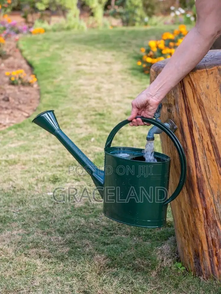 This Is Original Long Reach Watering Can Metal Large Can
