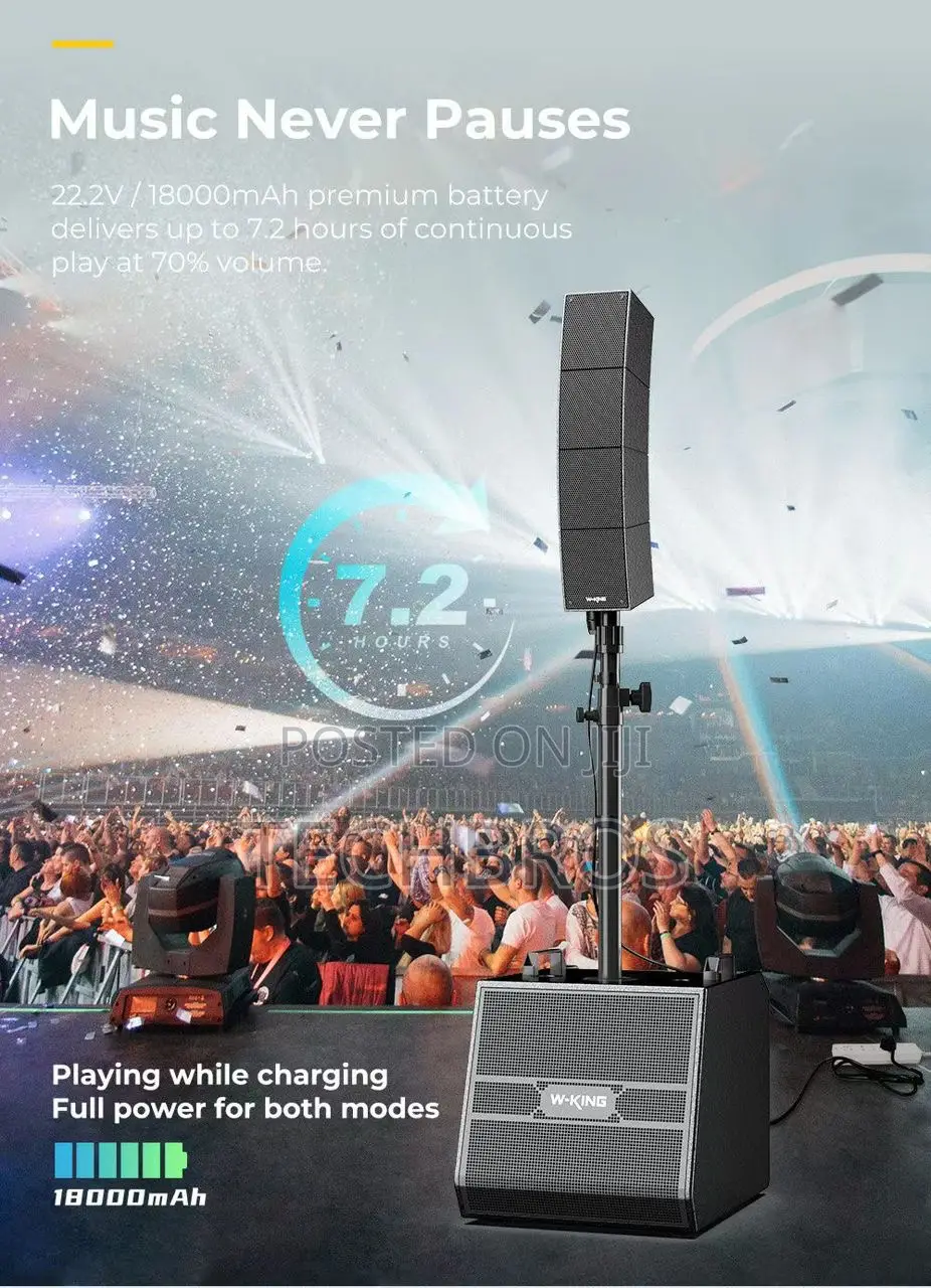 W-King Professional Line Array Speakers 490w Bluetooth Speaker