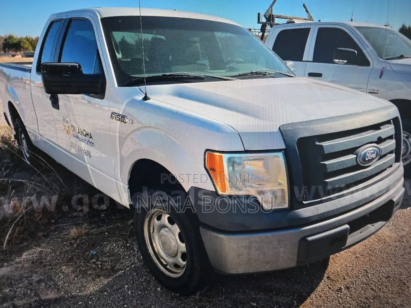 Ford F-150 2010 White