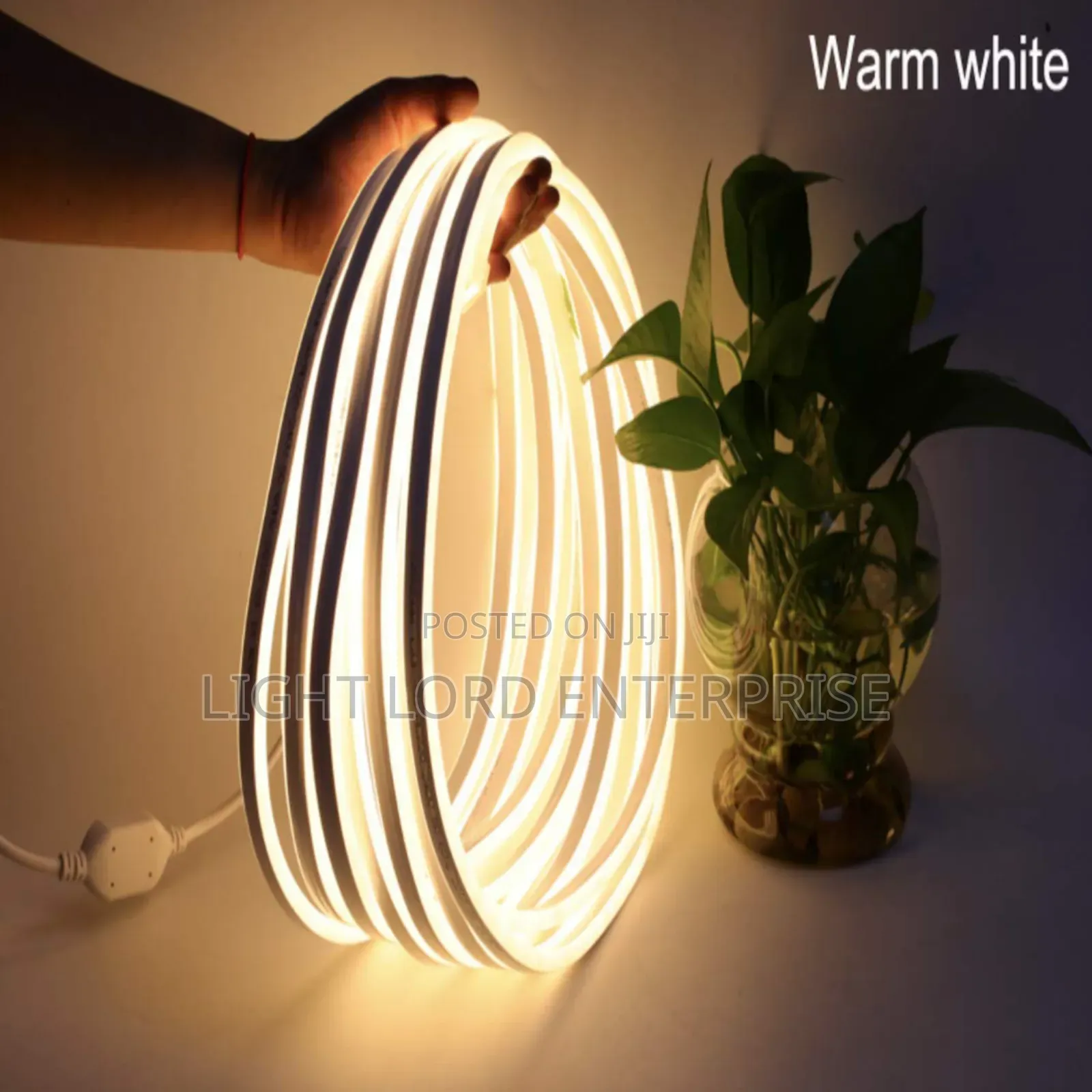 Top 5 Warm Color Neon 100meters