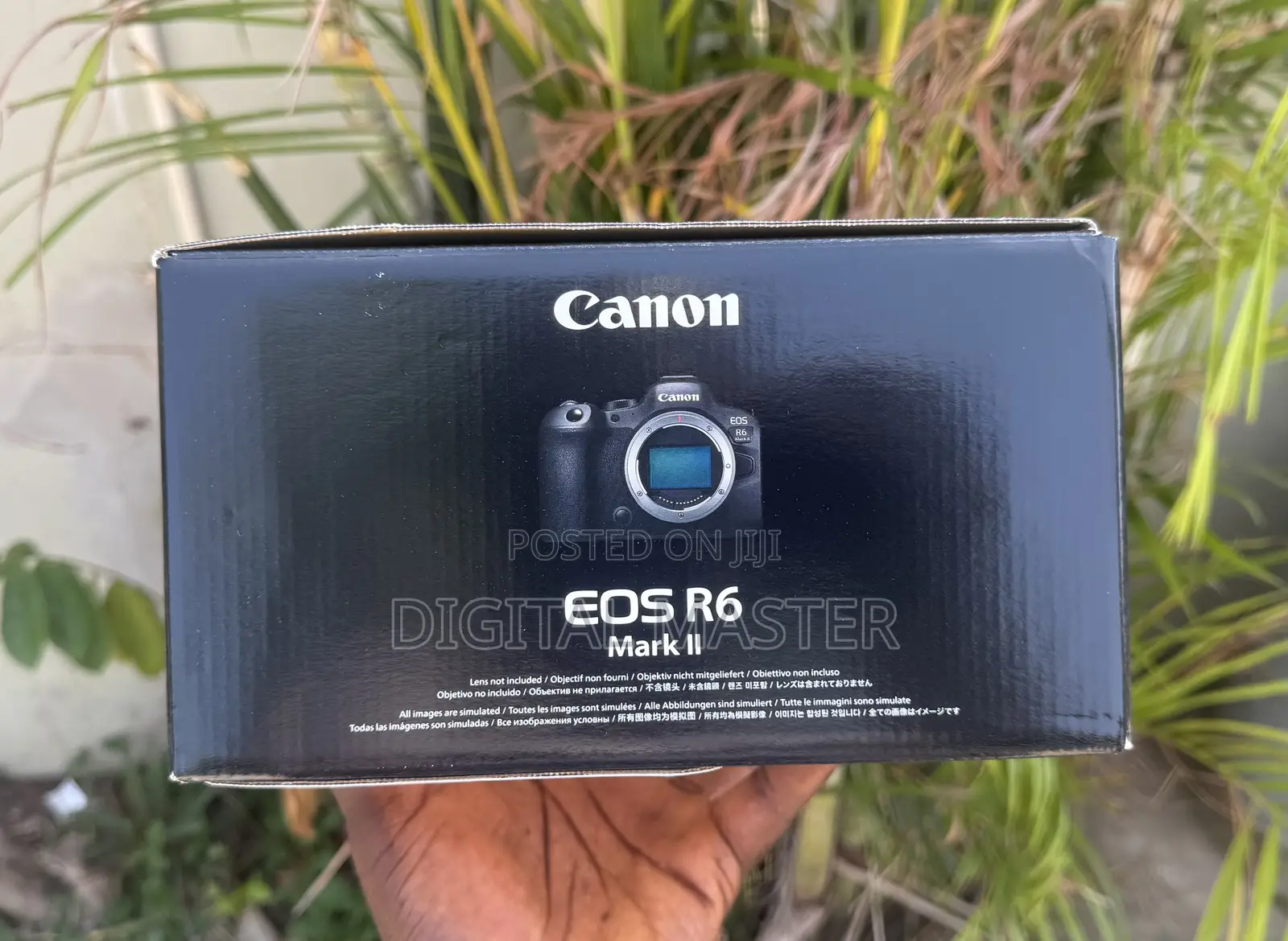 Canon Eos R6 Mark Ii Mirrorless Camera