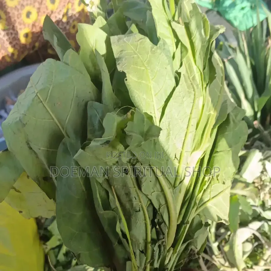 Bonto Leaves