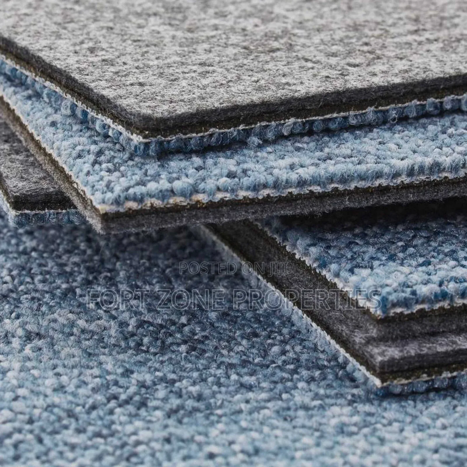 Carpet Man Cleaning With Cleantex