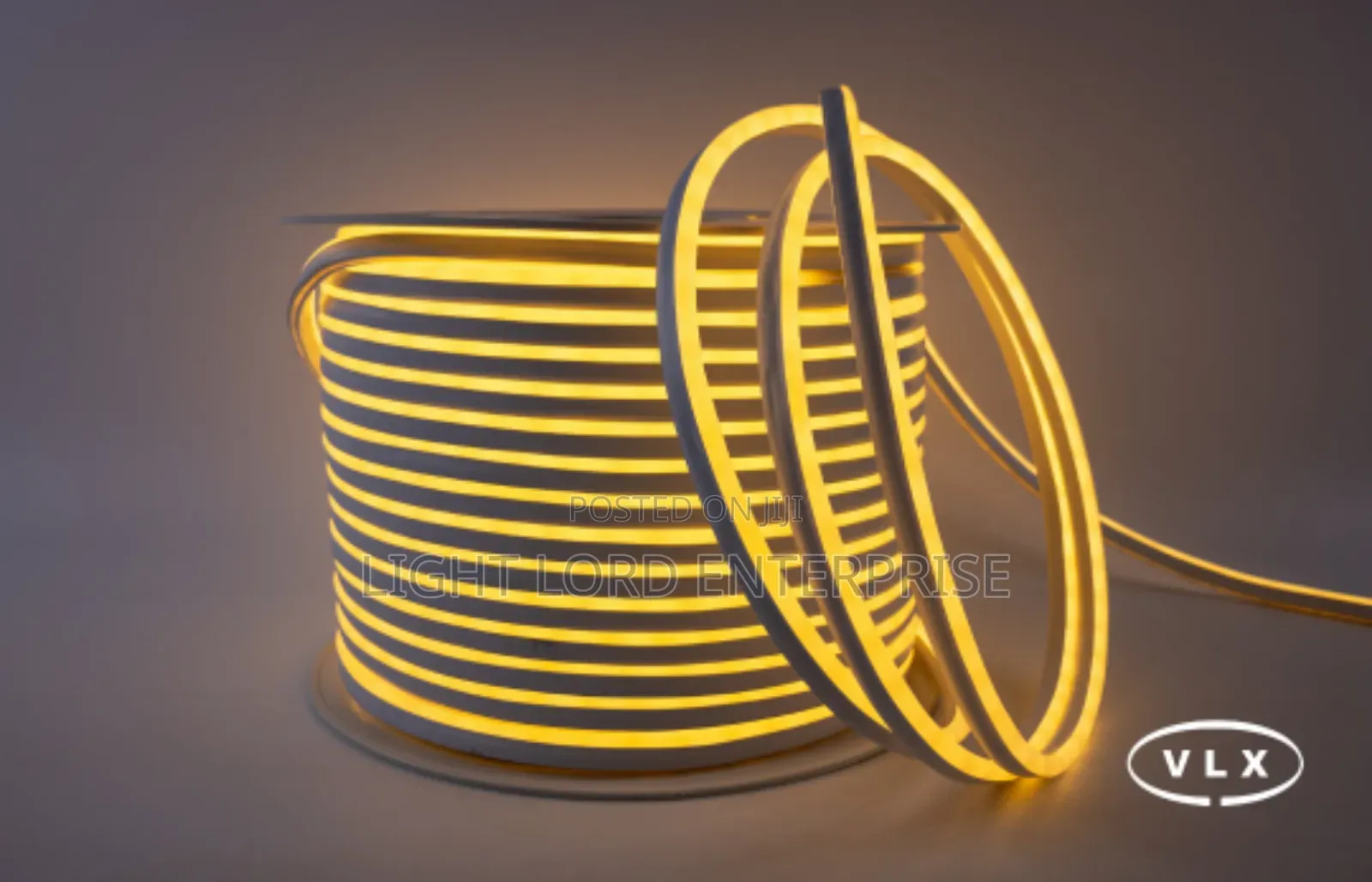 Outdoor /Indoor Decor Led Strip Light