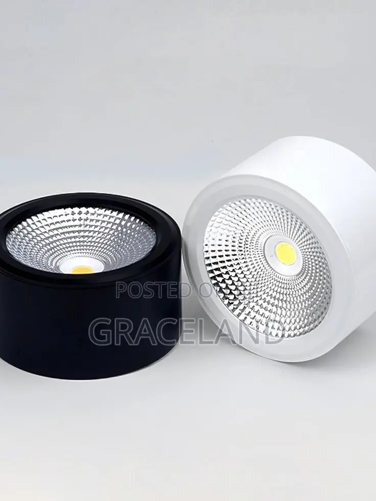 This Is Original Spotlight Set of 2in1 Ceiling Lights