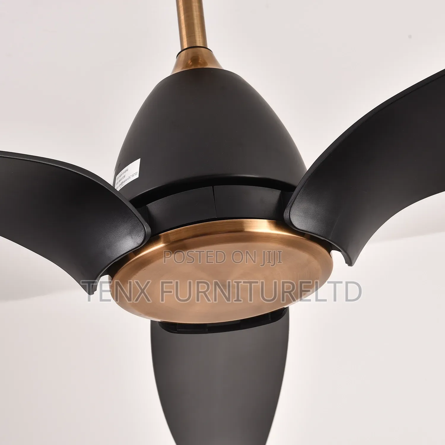 Ceiling Fan Black Bird With Bronze Color