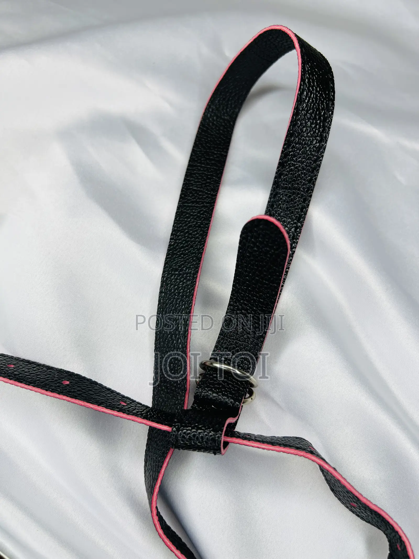 Remote Control Dual Penetration Strap-On
