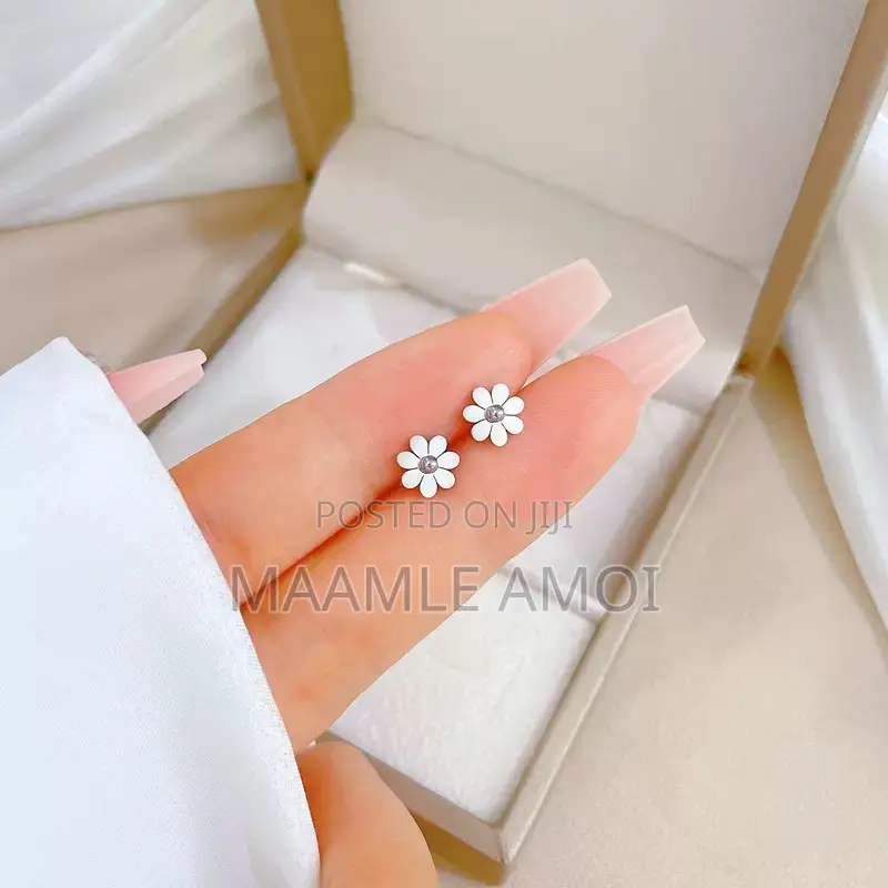 Stainless Steel Cute Earrings