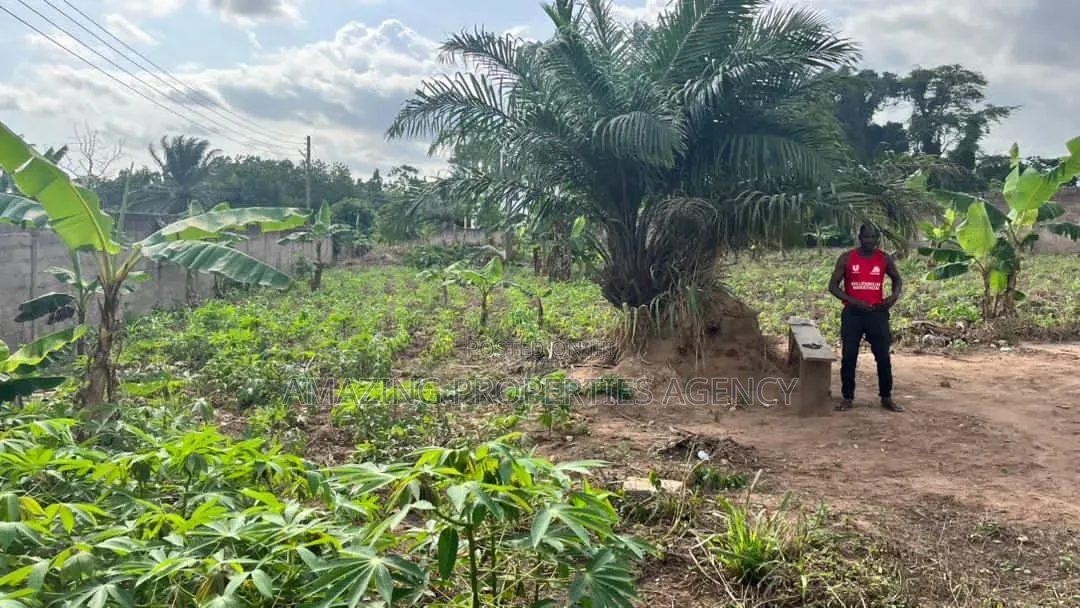 14 Plots Fully Documented Walled Gated Property at Aburi