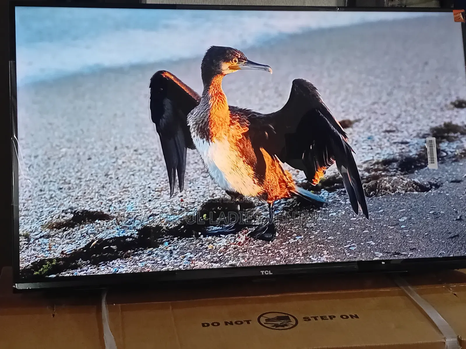 TCL 32” Led Tv With Powerful Surround Sound