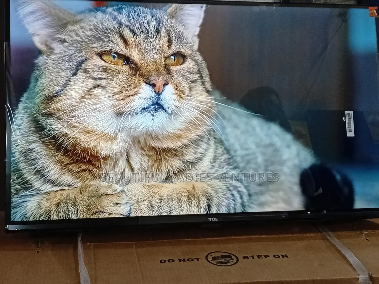 TCL 32-Inch Led Smart Tv for Family Entertainment