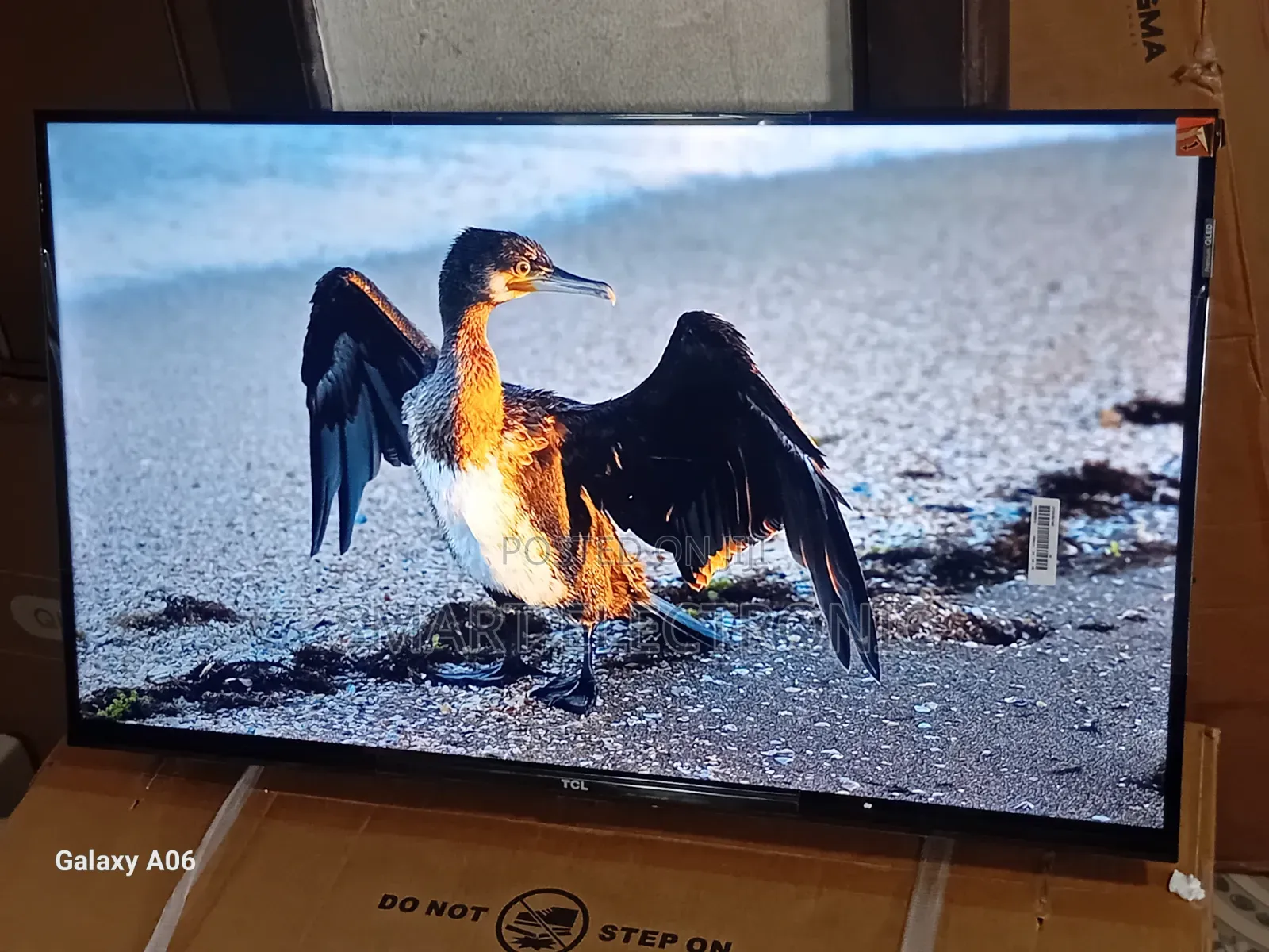 TCL 32-Inch Hd Ready Led Tv – Home Essential
