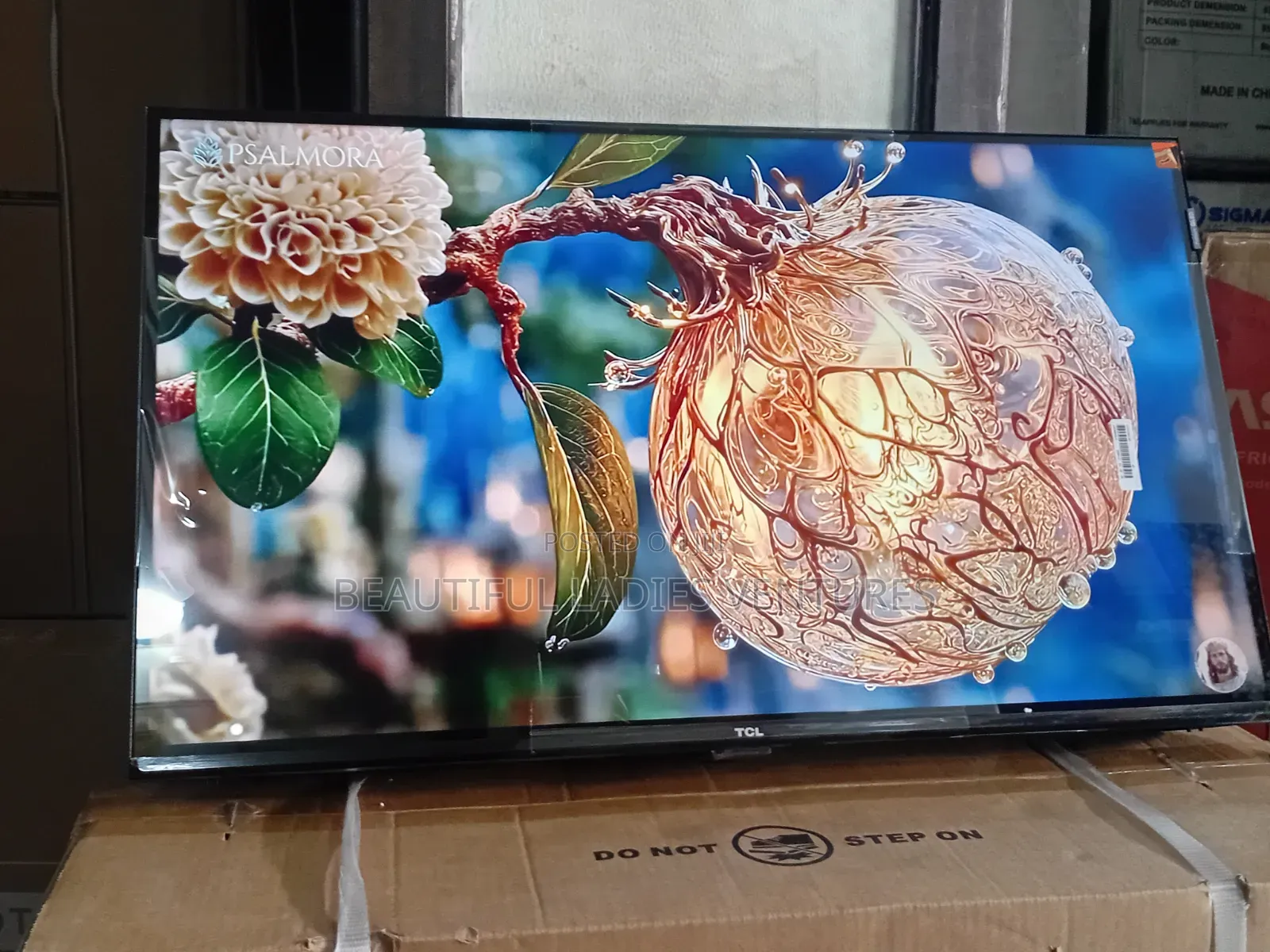 TCL 32-Inch Wide Screen Entertainment Tv