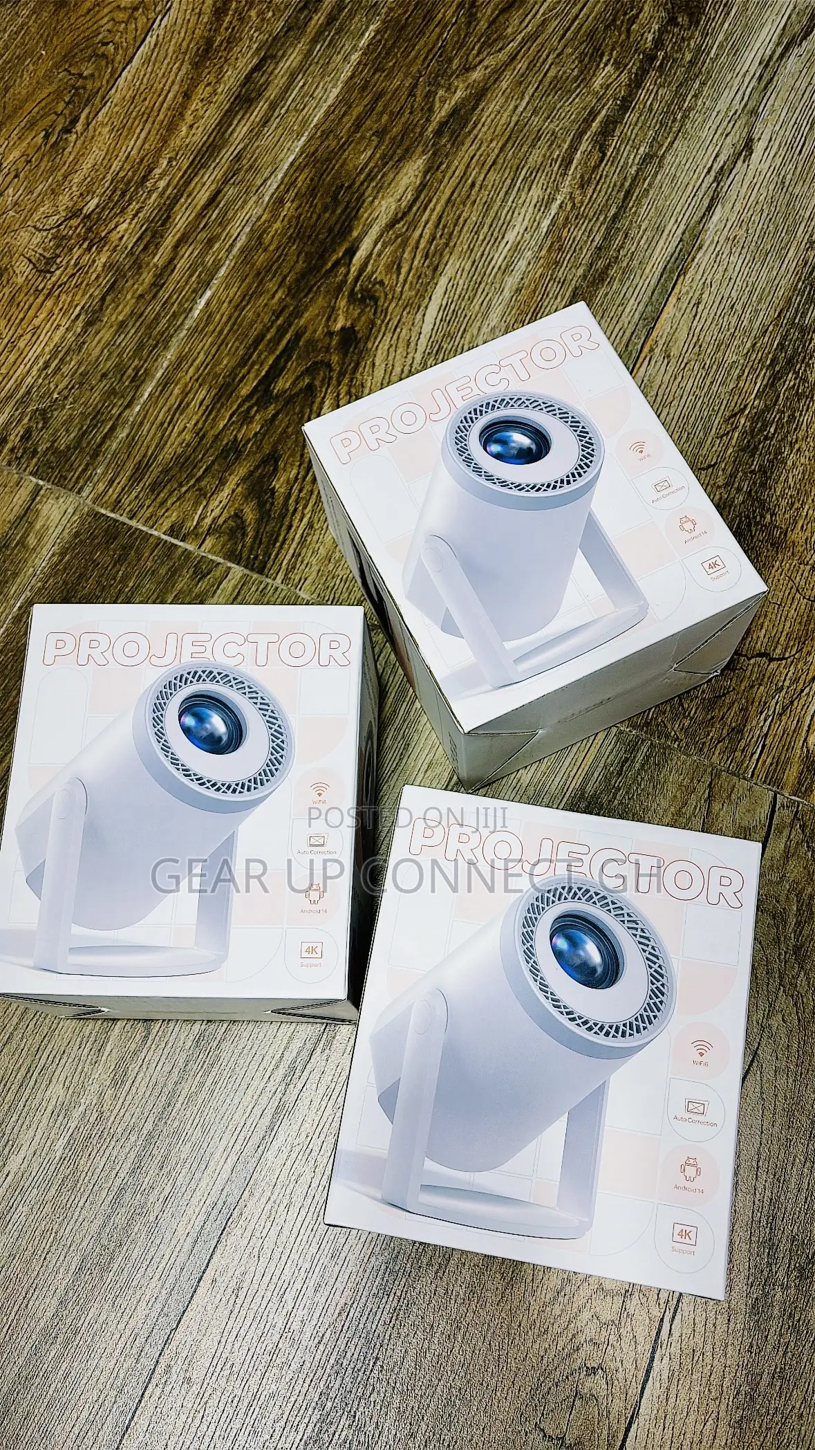 Portable Mini Projector