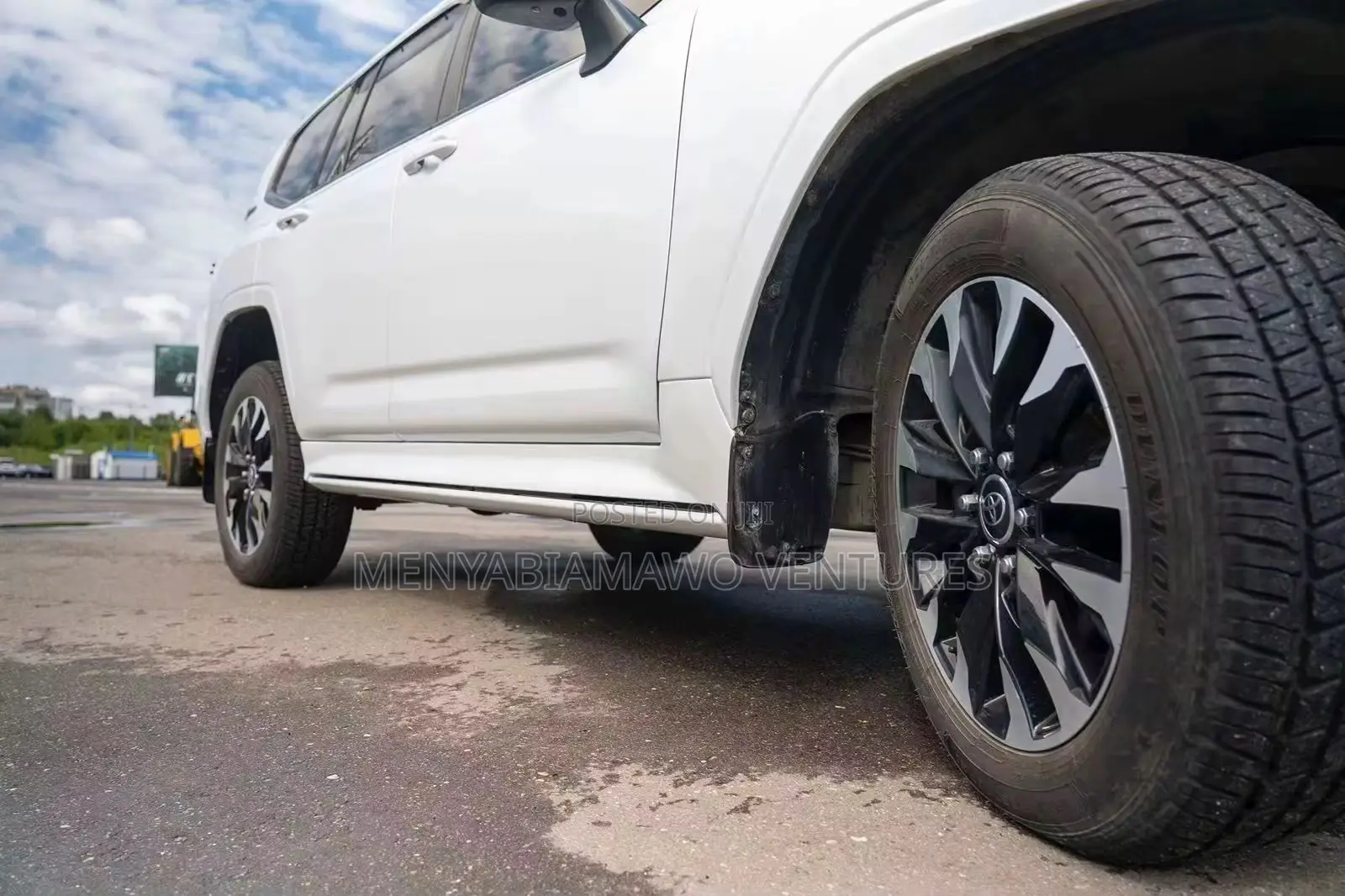 Landcruiser 300 Automatic Power Retractable Side Steps