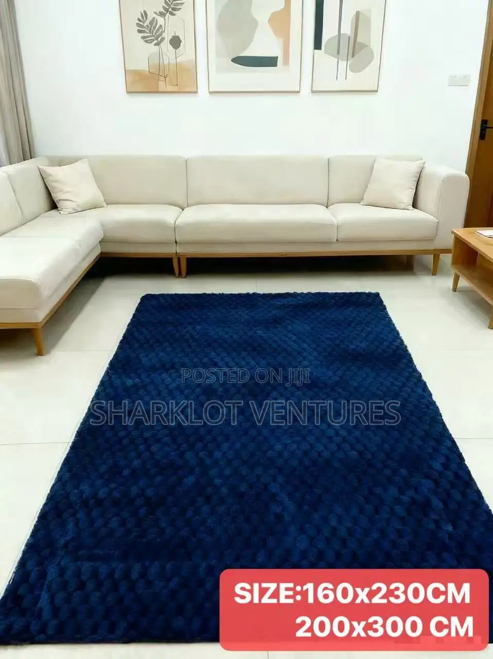 Woolen Plain Center Carpets