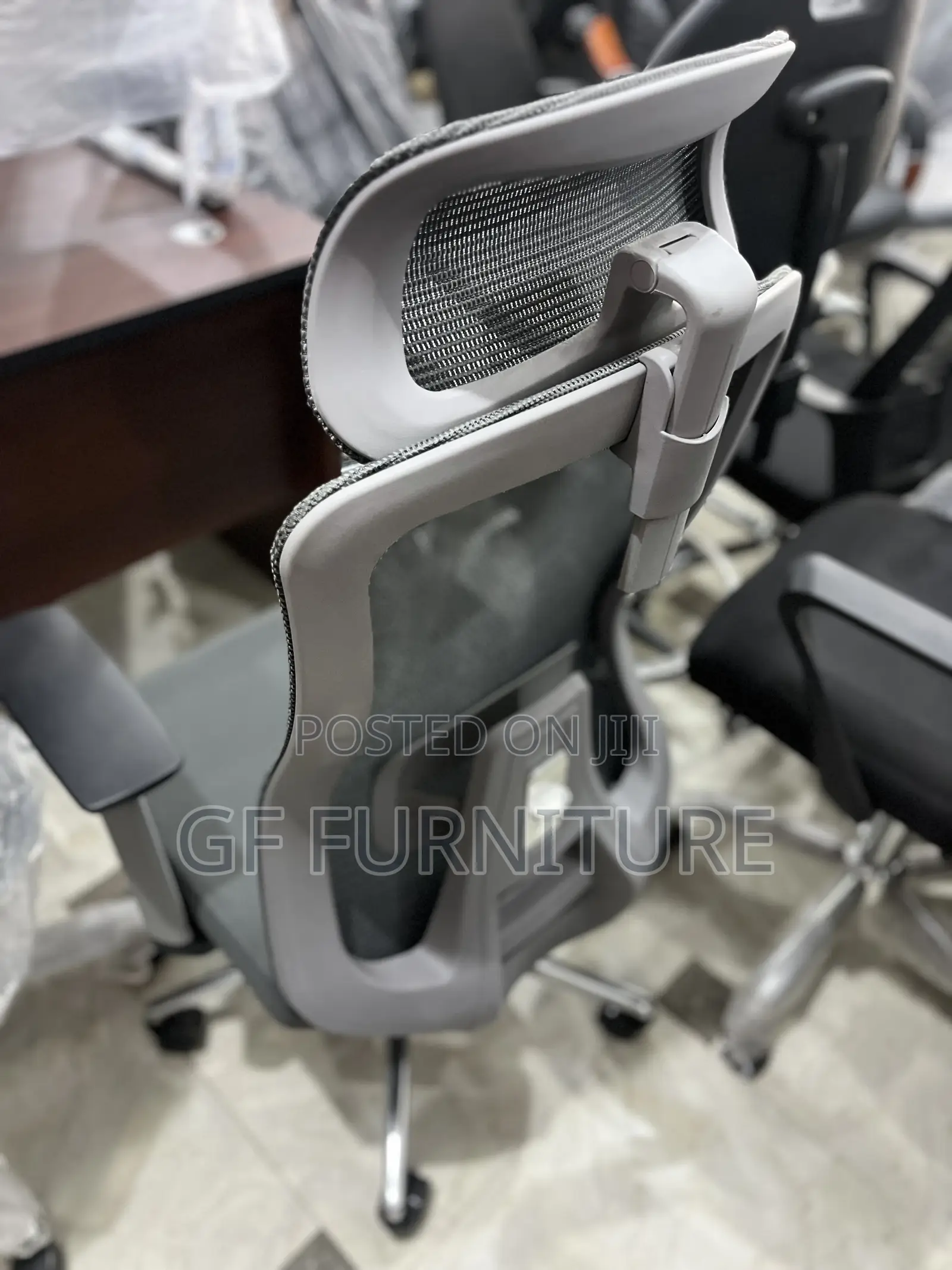 Ergonomic Chair With Lumbar Support and Headrest