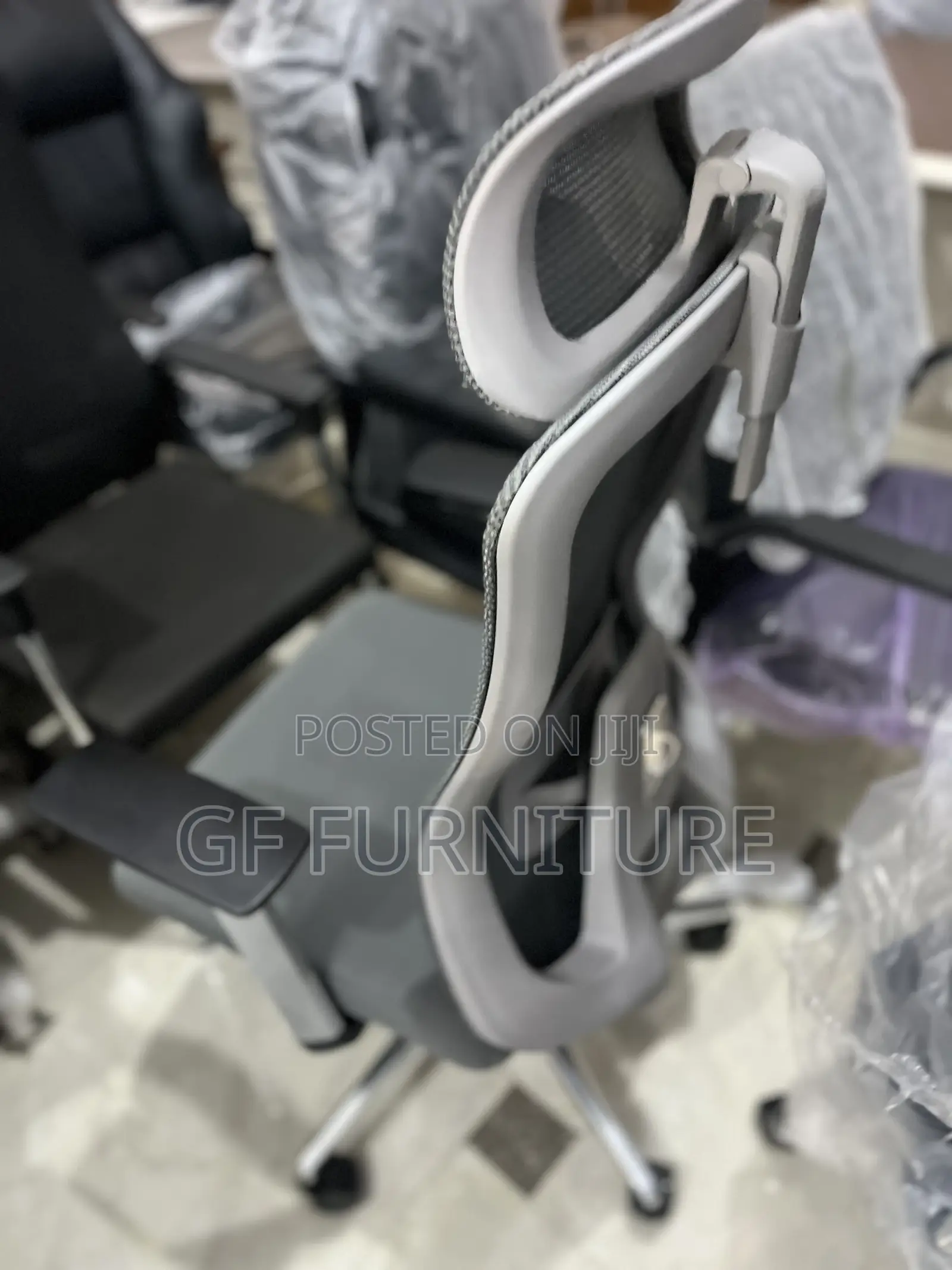 Ergonomic Chair With Lumbar Support and Headrest