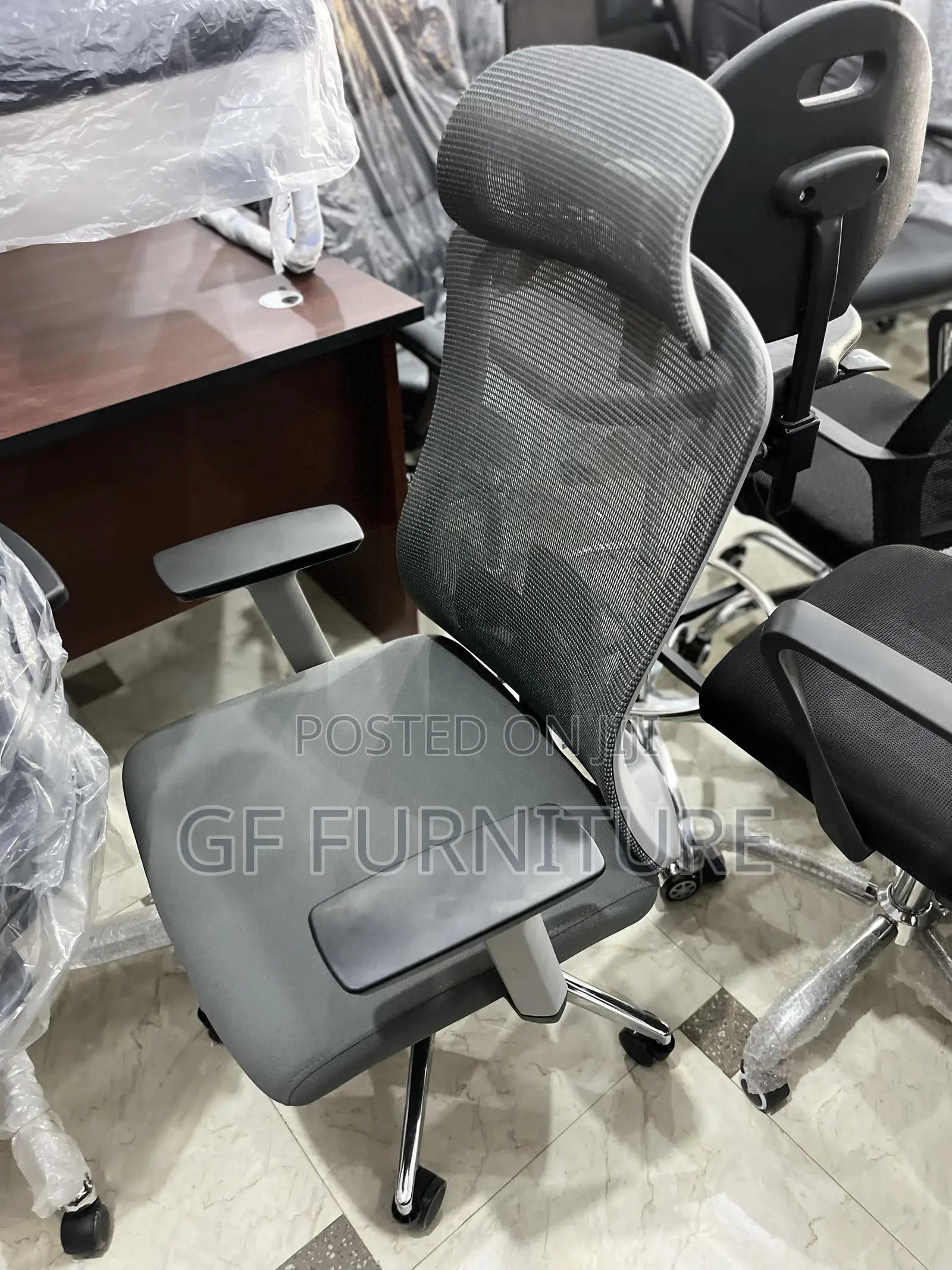Ergonomic Chair With Lumbar Support and Headrest
