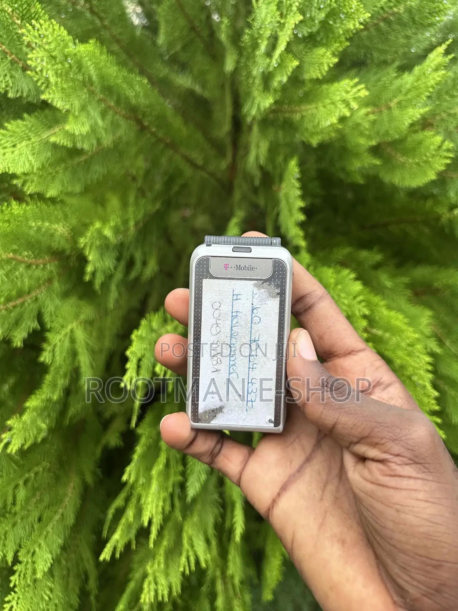 Nokia 6170 Silver