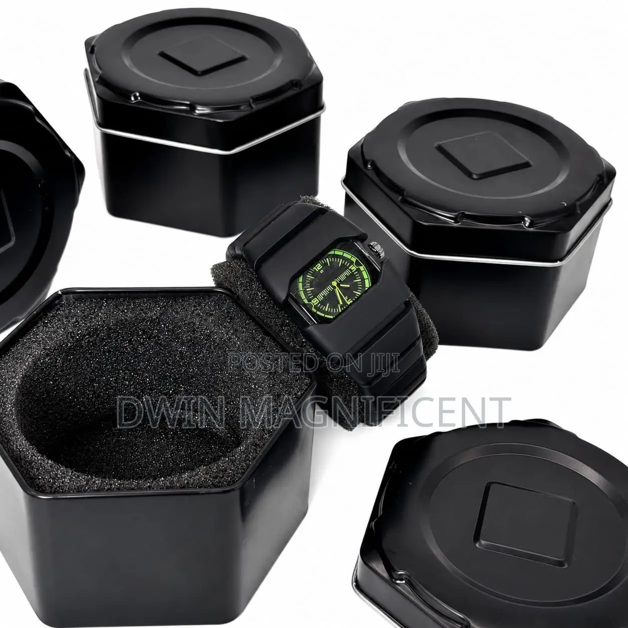 Papio Unisex Quartz Watch