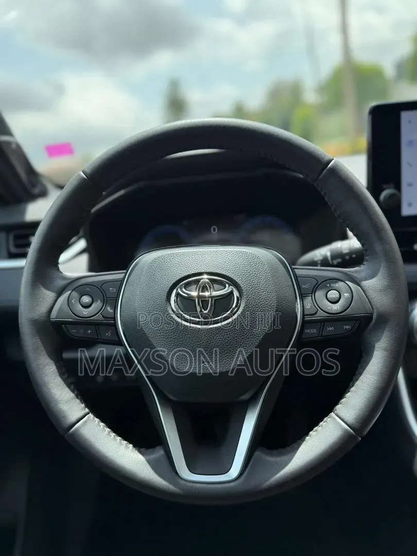 Toyota RAV4 2023 Gray