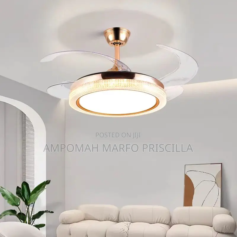 Summer Wind Fan Light