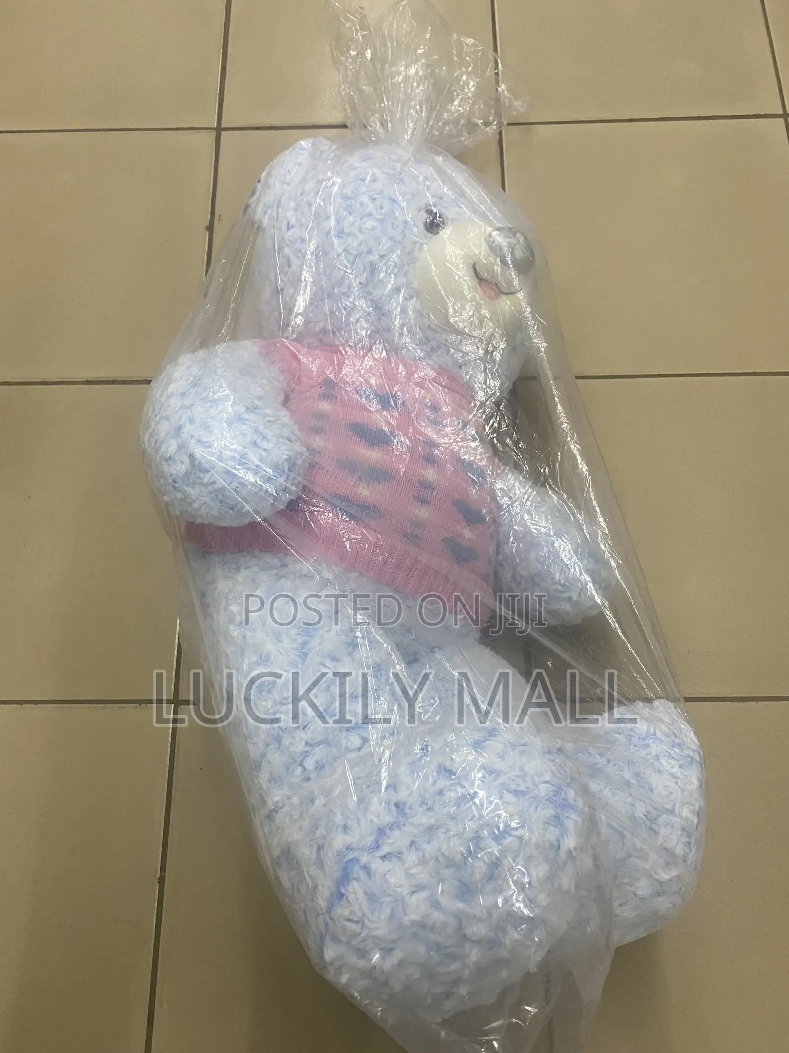 A Teddy Bear