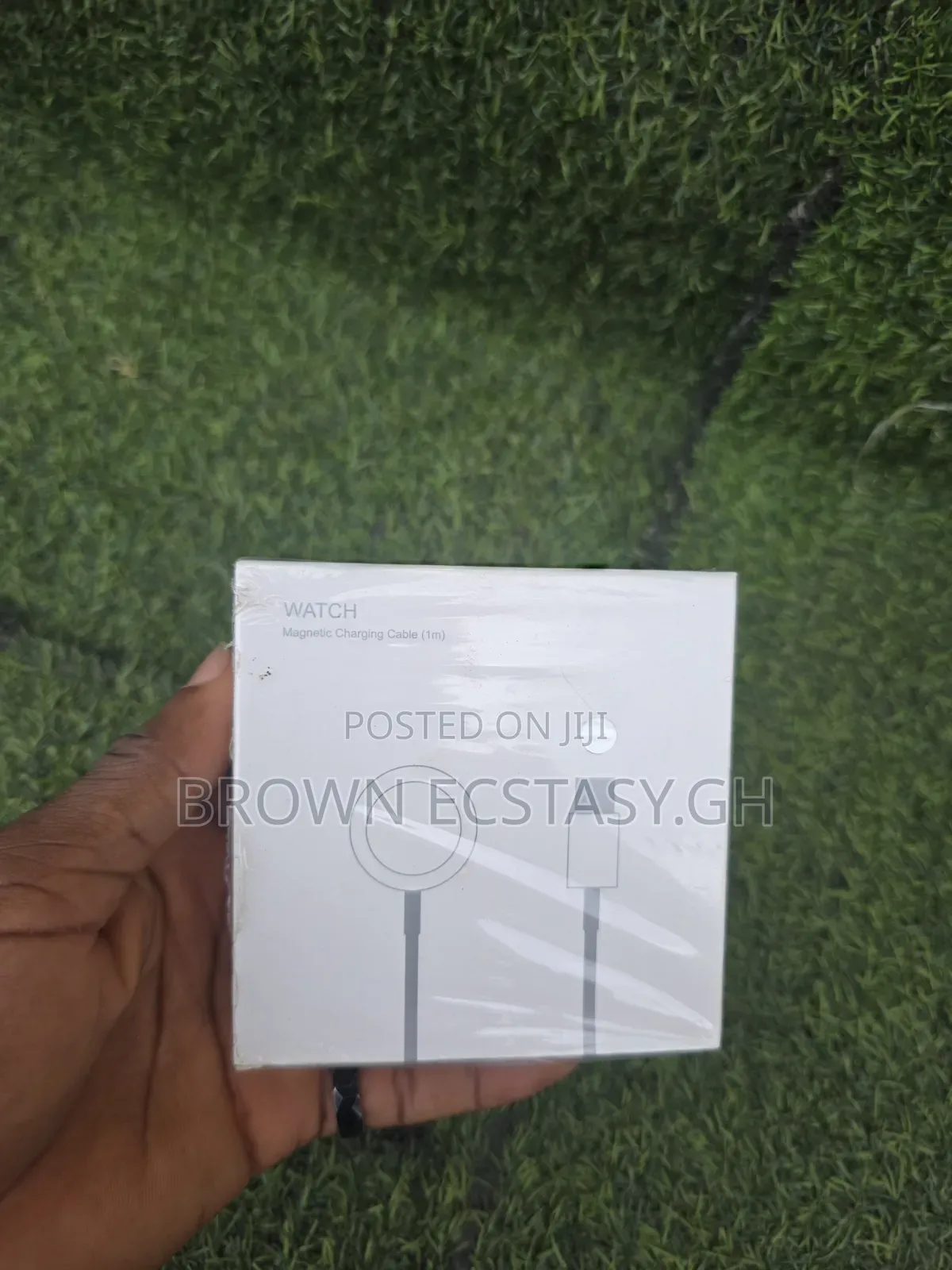 Apple Watch Charger (Type C)