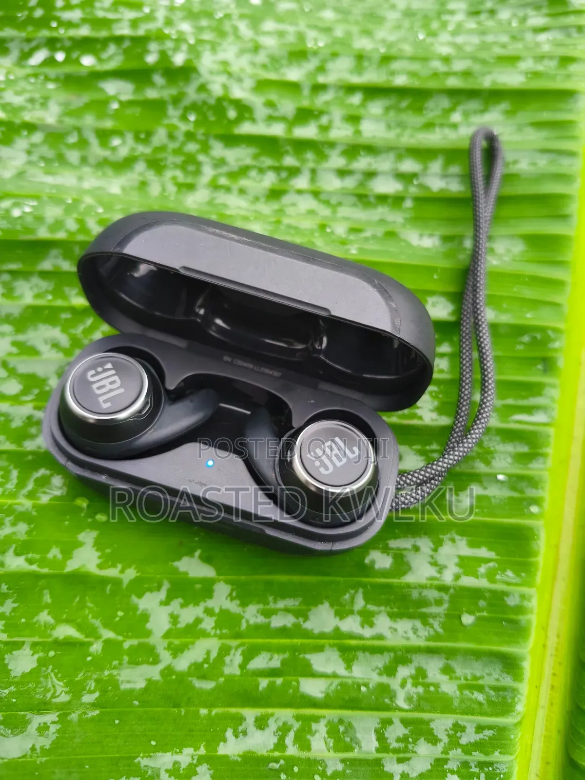 Original JBL Earbuds