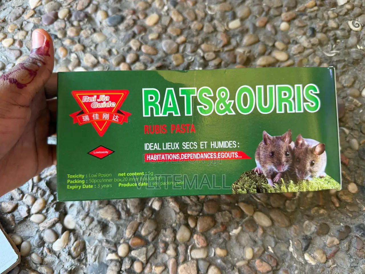Rats Ouris Rubis Pasta