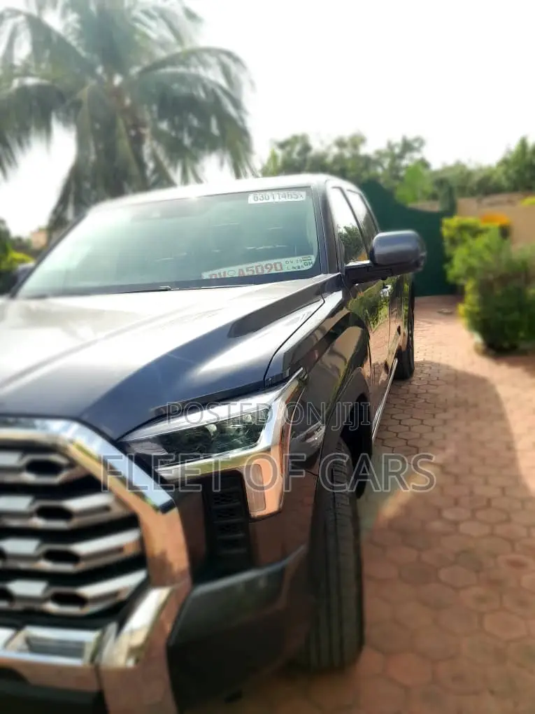 Toyota Tundra 2024 Beige