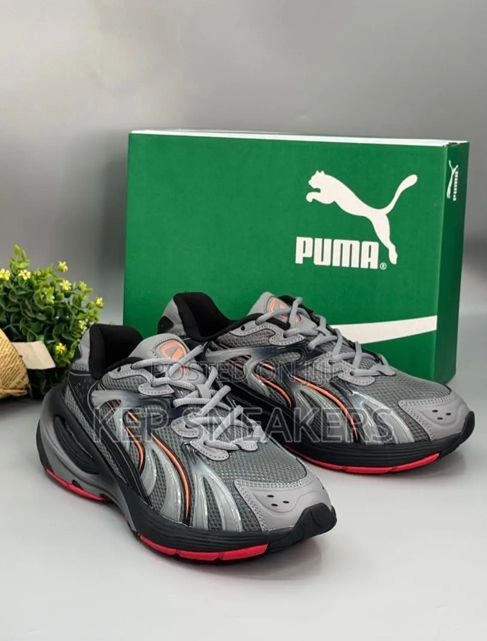 Puma Inverse