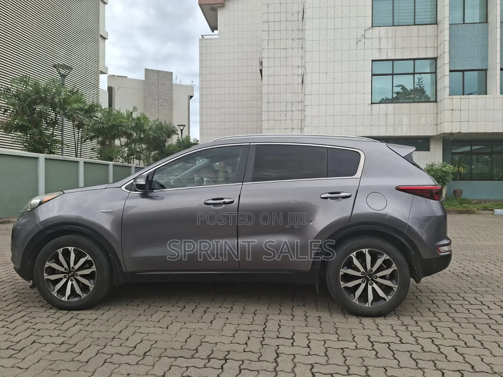 Kia Sportage EX 4dr SUV (2.4L 4cyl 6A) 2017 Gray