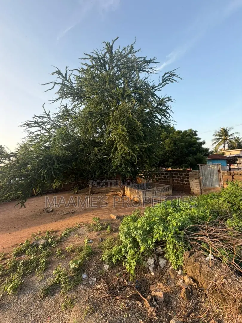 3 N Half Plot at Agbogba Going for 2.5 Mil GHS Slightly Negotiable