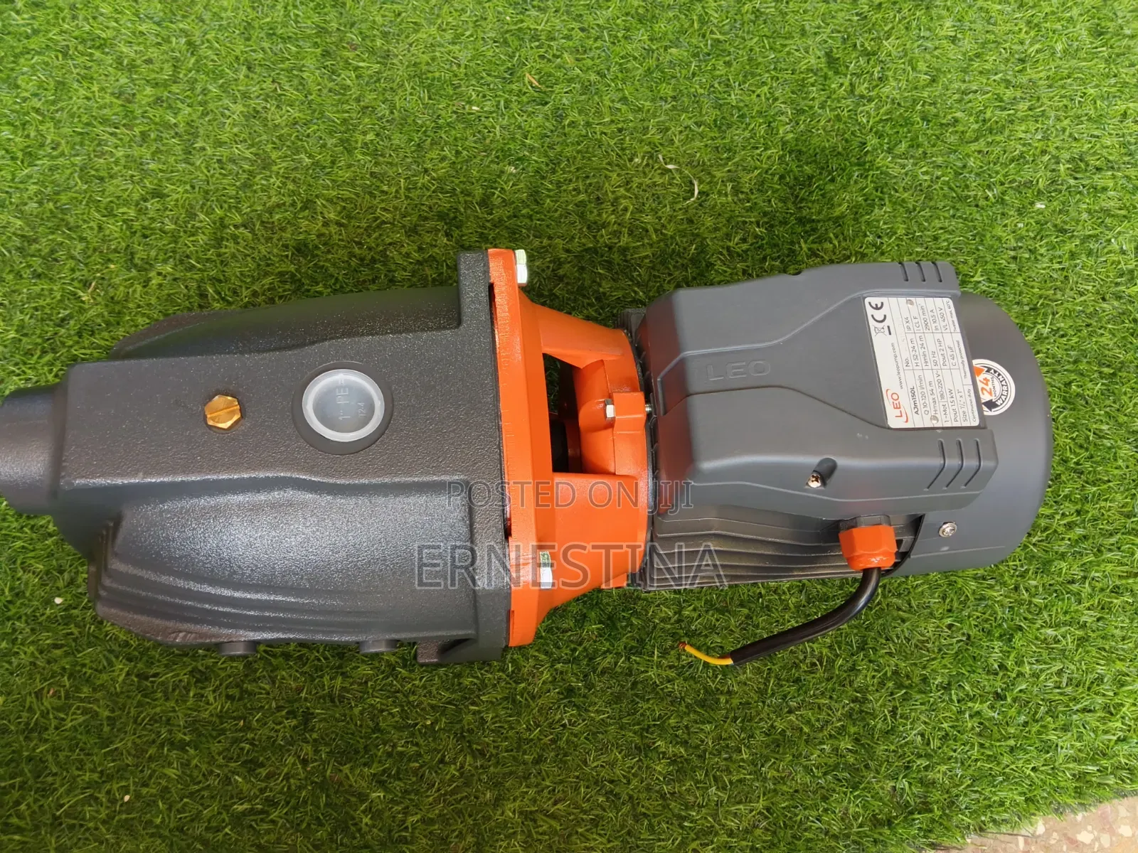 Leo Surface Water Pump