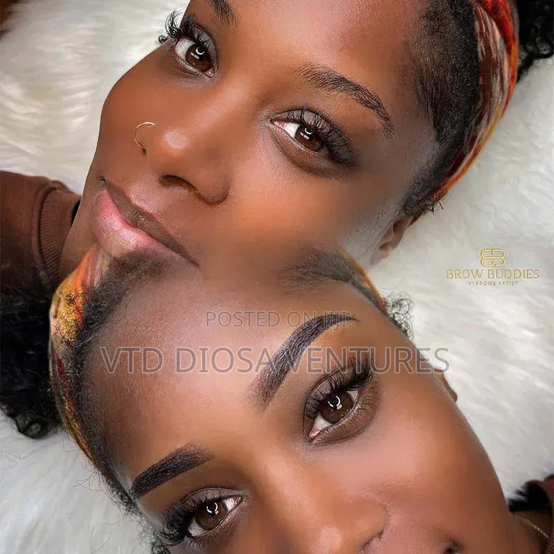Eyebrow Tattoo (Micro Shading and Microblading )