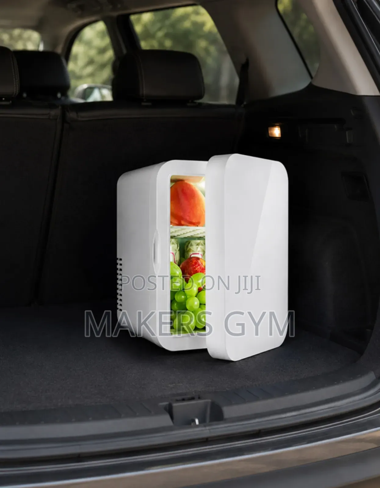 Car Fridge (The Cooler and Warmer)