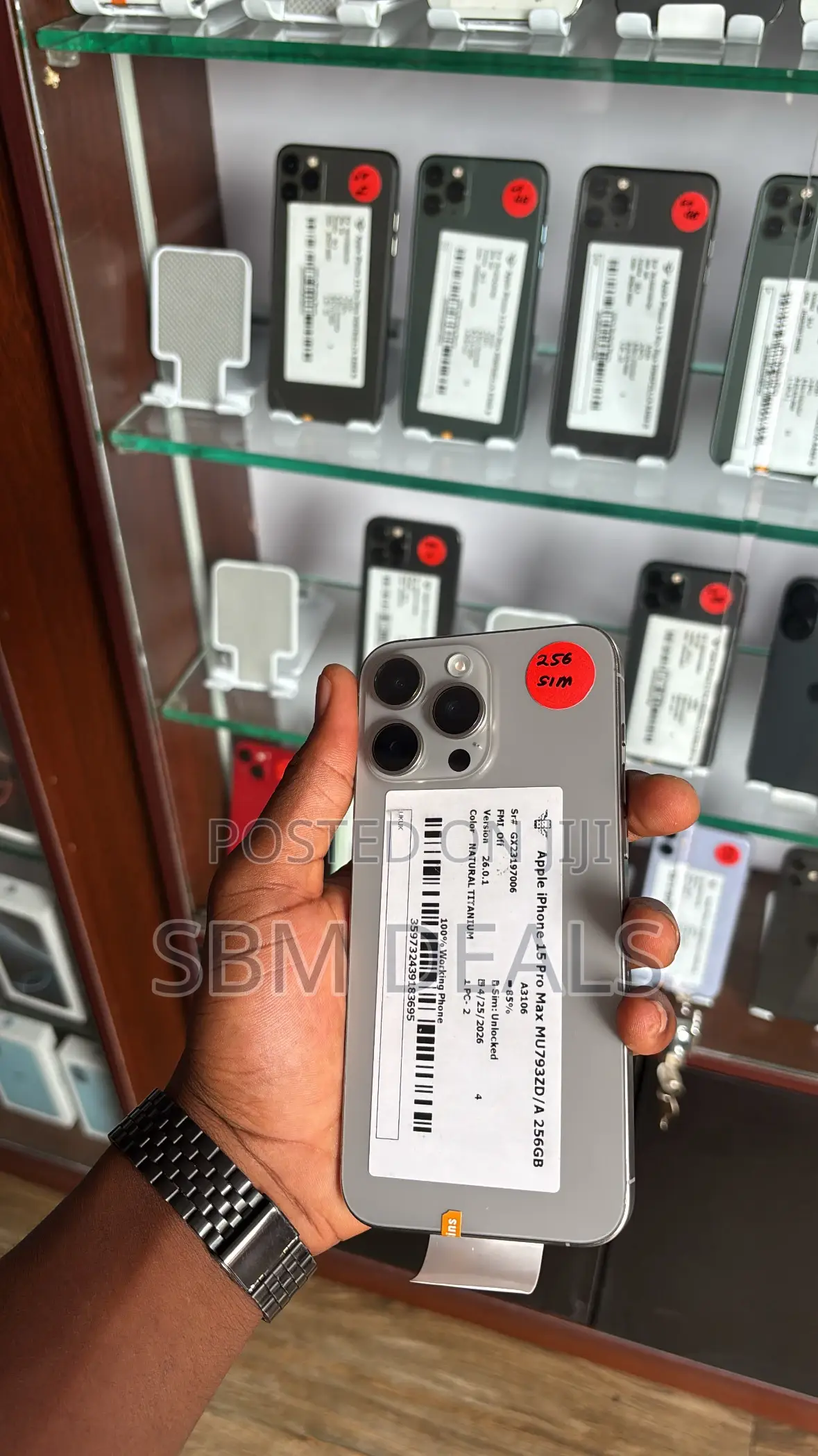 Apple iPhone 15 Pro Max 256 GB Silver