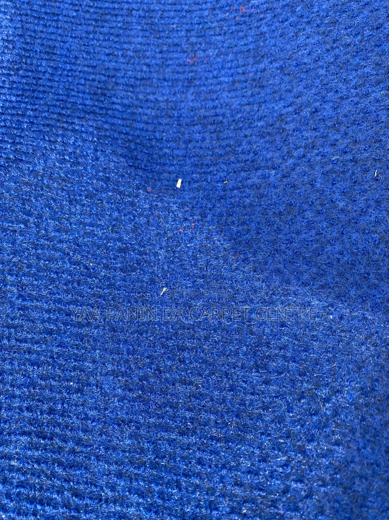 Carpet for Your Bedroom