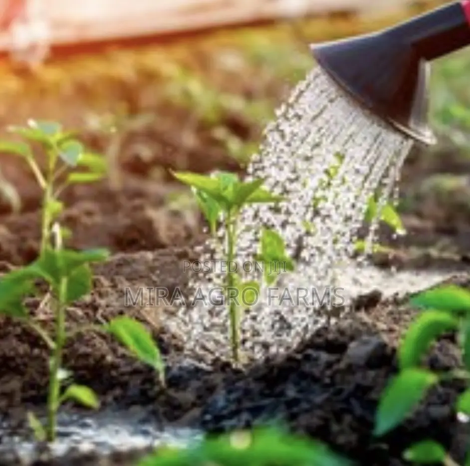Home Gardening Services