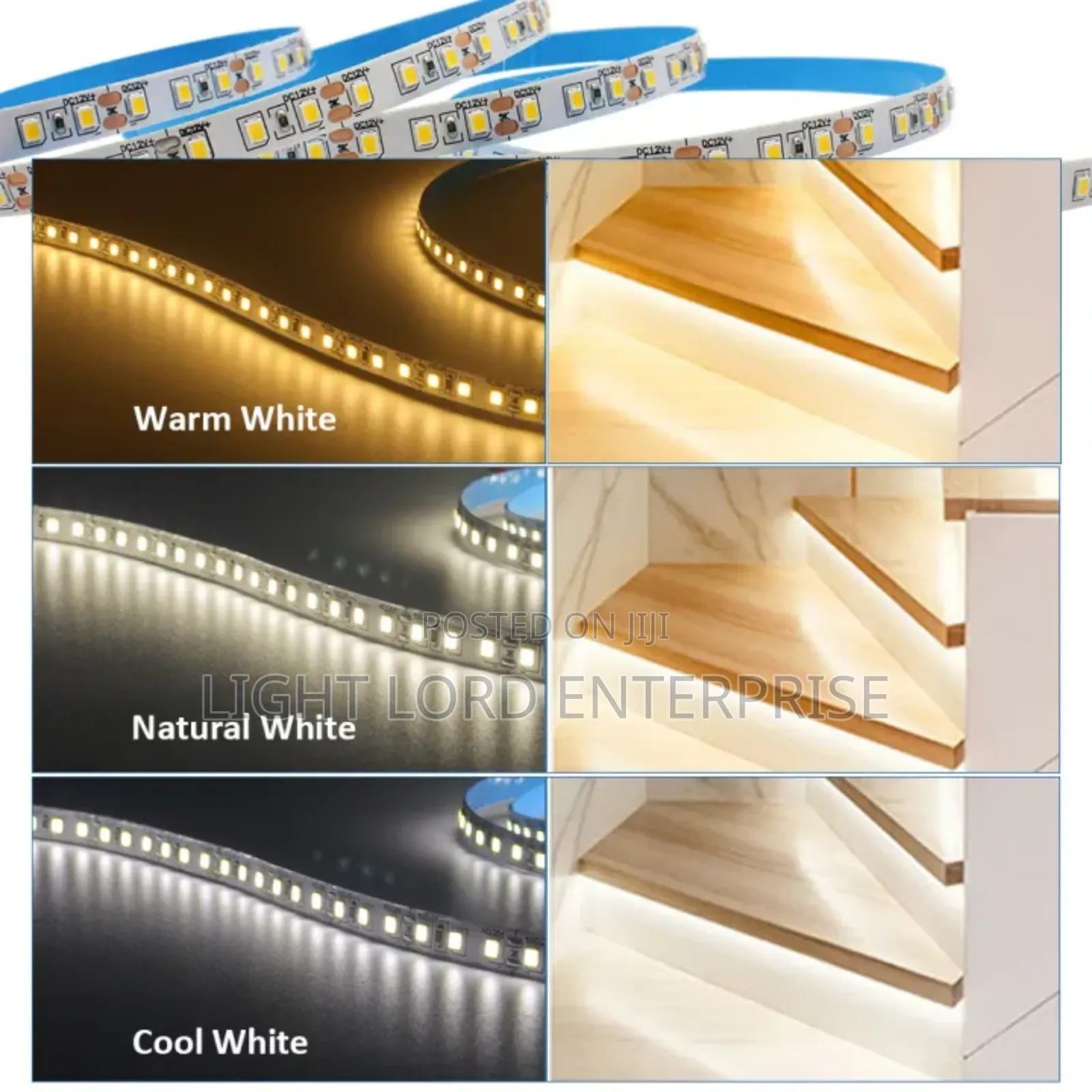 Easily Cut 24v Led Strip Cob 10m and Power Supply