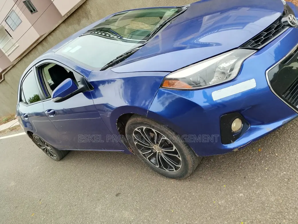 Available for Rental