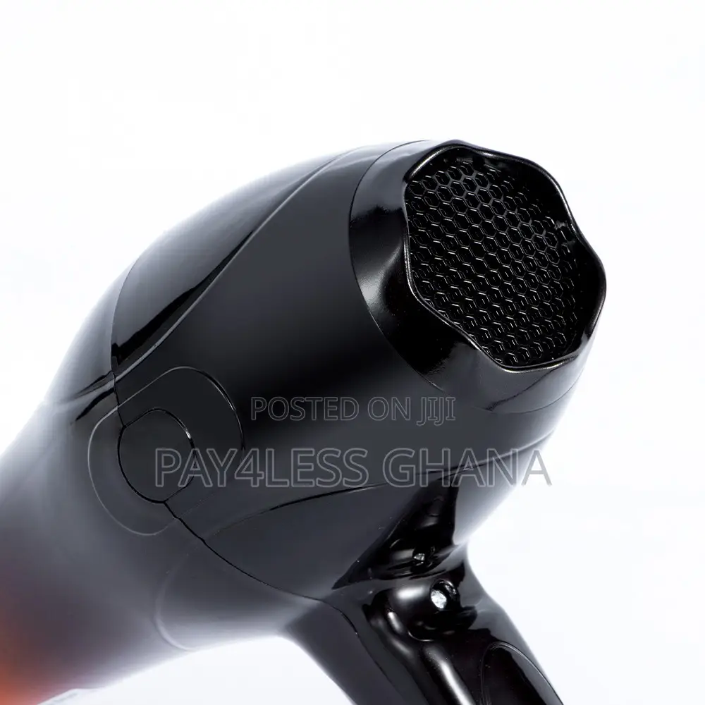 Raf Hair Dryer