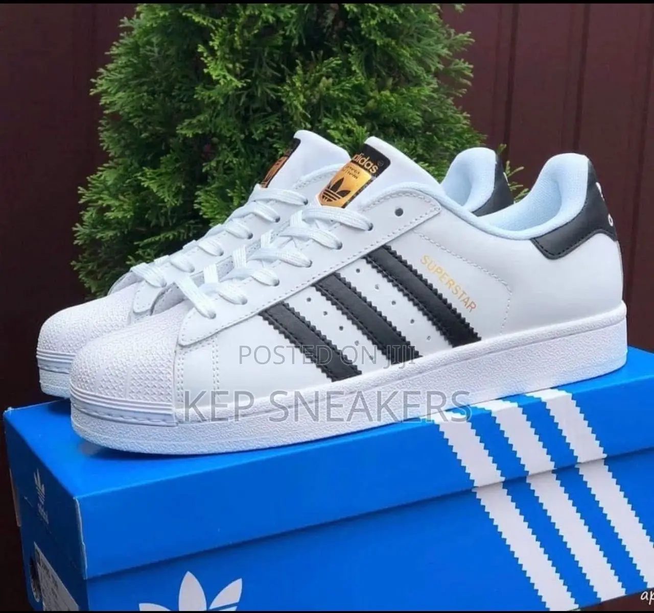 Adidas Originals Superstar Foundation