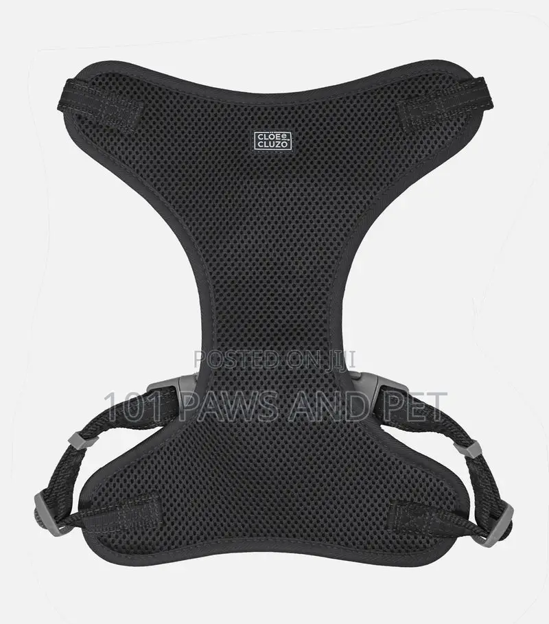 Adjustable Mesh Harness for Dogs