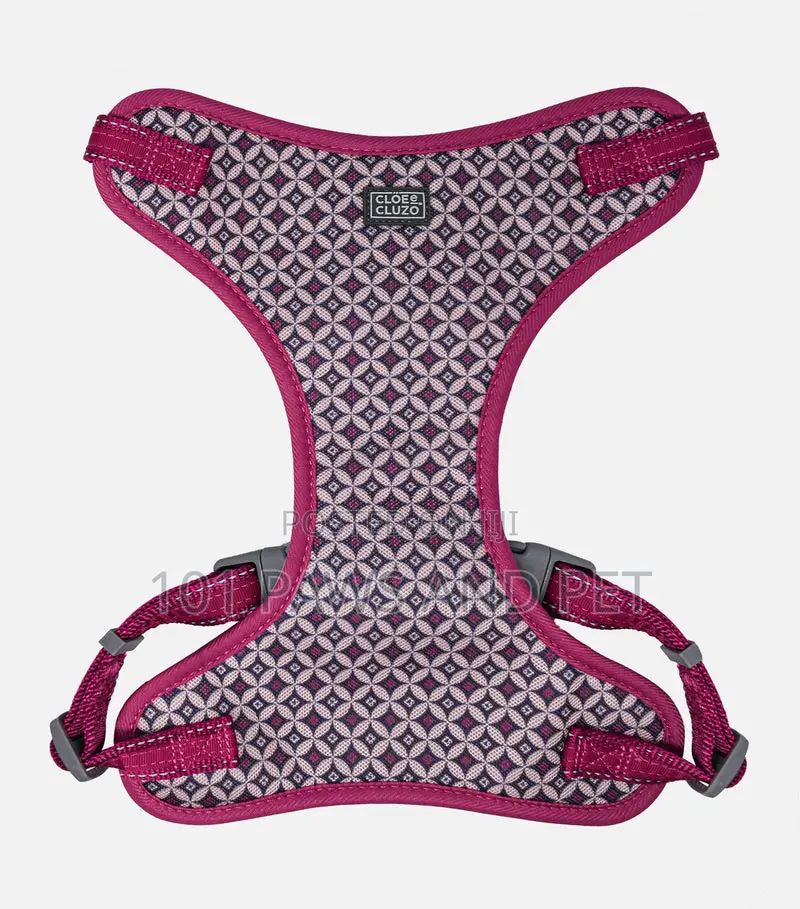 Adjustable Mesh Harness for Dogs